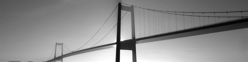 Your bridge to success